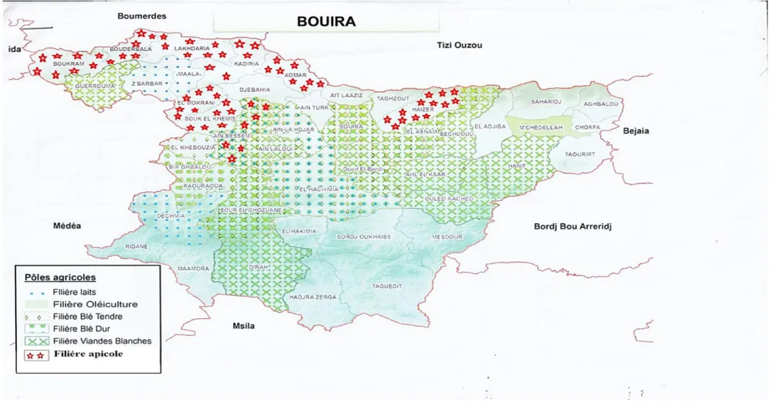 Figure 7 : les pôles agricoles de la wilaya de Bouira