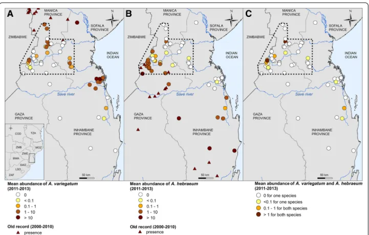 Fig. 1 Mean abundance of Amblyomma ticks in the Mozambican contact zone, a A. variegatum, b A
