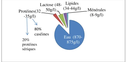 Figure 1 : Composition du lait (LORTAL &amp; BOUDIER, 2011). 
