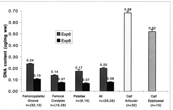 Figure  4-1:  Average  DNA  contents  normalized  to  wet  weight,  mean+SEM.  Exp6 and  Exp8  were  experiments  with  adult  articular  cartilage;  calf articular  cartilage  was cultured  from  the  femoropatellar  groove;  and calf  epiphyseal  data  w