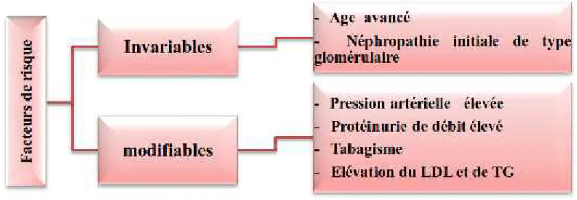 Figure 04: Diagramme des principaux facteurs de progression de l’IRC