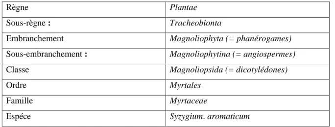 Tableau 2: Situation botanique de l’espèce Syzygium aromaticum.