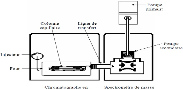 Figure 7: Schéma d’un couplage d’un chromatographe à tube capillaire à un spectromètre de  masse.[37] 
