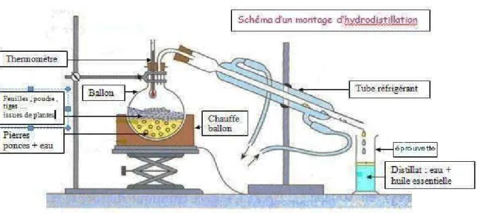 Figure 5.  Montage d'extraction par hydrodistillation. (Bruneton; 1993). 