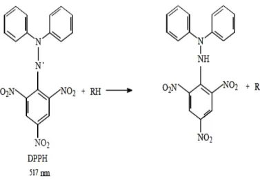 Figure  12: Réaction du DPPH avec une molécule donneuse de proton (Bayala ; 2014)  . 