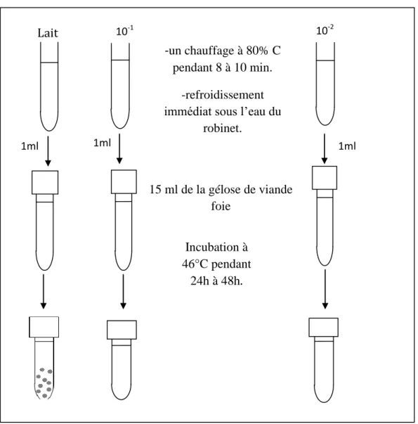 Figure 22: Diagramme de la méthode de recherche et dénombrement des Clostriduim sulfito- sulfito-réducteurs 
