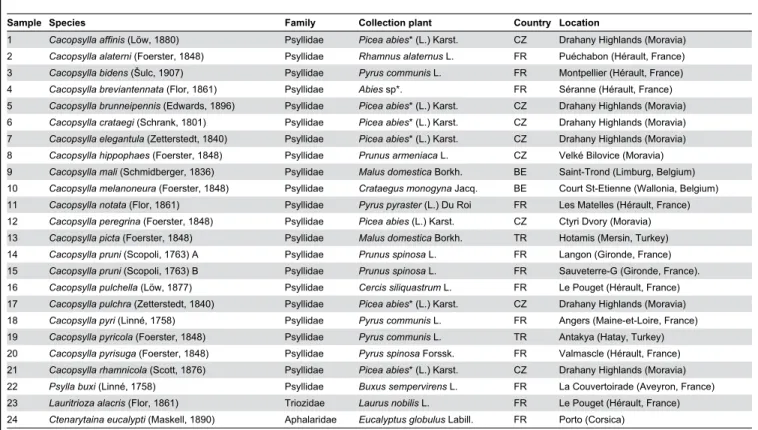 Table 2. Origin of the 24 psyllid species used in this work.