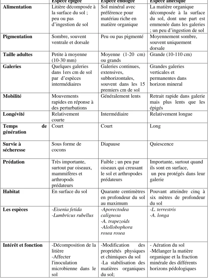 Tableau  2 :  Principales  caractéristiques  des  trois  catégories  écologiques  de  vers  de  terre  décrites  par  (Bouché  1972  ;  1977,  Kiyasudeen  et  al.,  2016 ;  Edwards  et  Bohlen,  1996 ; Sherameti et Varma, 2015 ; Myster, 2007)