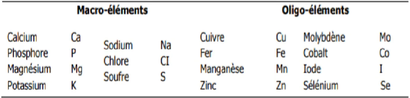 Tableau  02   :  Minéraux  essentiels  qui  ont  une  importance  pratique  dans  l’alimentation  du  ruminant (Schlegel  et al