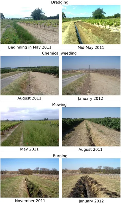 Fig.  4.   Illustration of  the effects of  each type of  management operation. 