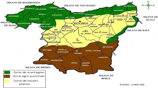 Figure 12: zones de potentialités agricoles de la wilaya de Bouira (DSAB ,2019). 