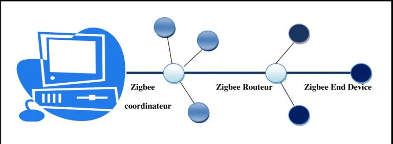 Figure II.5:Dispositifs du standard ZigBee.[19] 