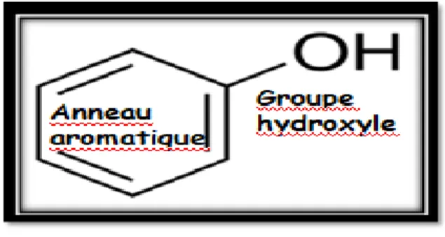 Figure 05 : La Structure de base des composé phénoliques (Bruneton. 1993 ;  Macheix et al , 2005)