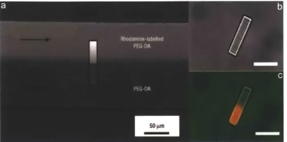 Figure  1.7:  Synthesis  of Janus particles (a) A  schematic diagram showing the CFL process for the synthesis of Janus particles