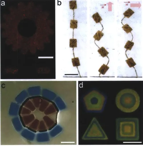 Figure  1.13:  Other applications of FL  (a) A  confocal image of a  micro-gear for MEMs  applications.