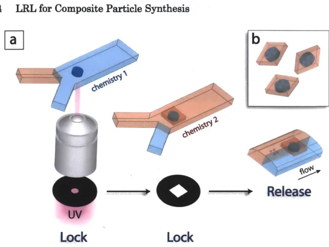 Figure  2.6:  Synthesis  of composite  particles. (a) A  schematic diagram showing  the  synthesis  of composite  particles