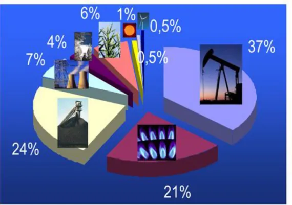 Figure I. 2 : Répartition des sources d’énergies primaires utilisées dans le monde en 2010 
