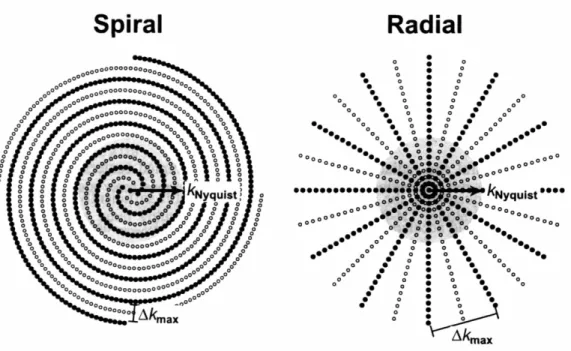 FIGURE 2.1 Self-Calibrating Spiral and Radial Trajectories
