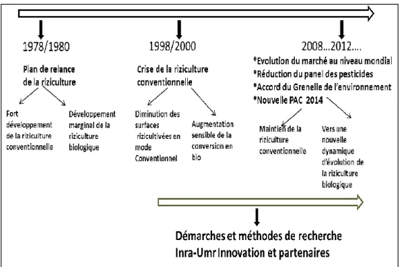 Figure 1:  Etapes d’évolution de la riziculture biologique en Camargue 