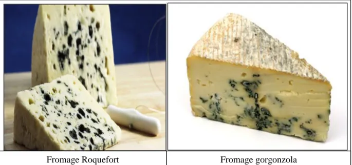 Figure 03 : Types de fromages à pâte persillée (BRANCHET, 2013)  II. 2. 4. Fromages fondus