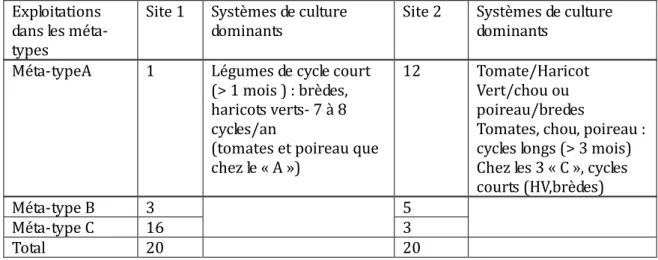 Tableau  1.  Répartition  des  types  de  systèmes  d’activités  agricoles  dans  deux  villages  périurbains    à  Madagascar  (N’Diénor et Aubry, 2004)