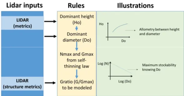 Figure 1.  Flowchart of the modelling approach followed, showing the inputs points of the Lidar metrics and  the allometric rules used to obtain the final basal area (G) estimations