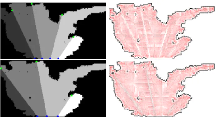 Fig. 4. At the left, examples of cuts with n = 4 and n = 5 branches. Ending points are represented in blue and starting points in green