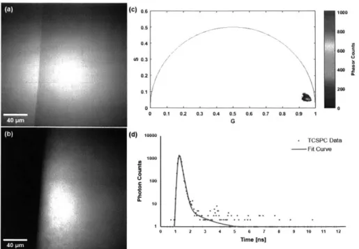 Figure  3-1:  Fluorescent  properties of the sun filter formulation.  (a)  Trans-illumination image  of  the  edge  of  a  droplet  of  sun  filter  formulation,  acquired  with  755  nm  light.