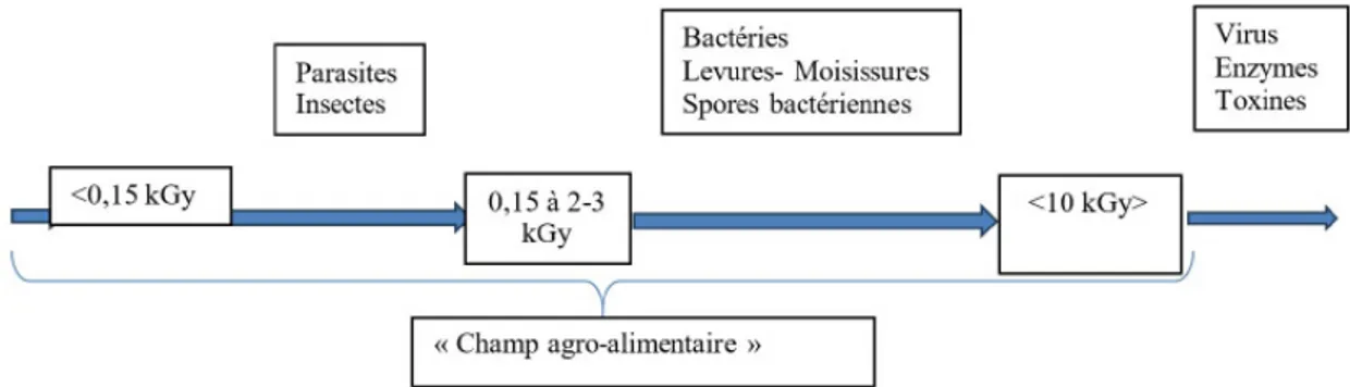 Fig. 3 : Positionnement des principales cibles des traitements sur une gamme de doses de  rayonnements ionisants