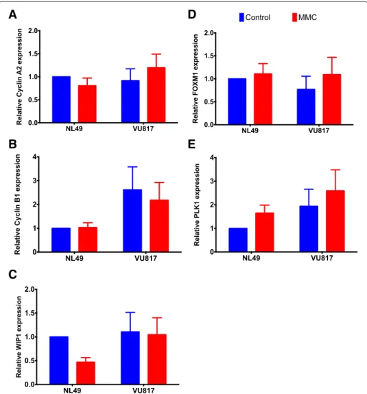 Fig. 5 FA cells have a gene expression pattern compatible with checkpoint resolution despite DNA damage.