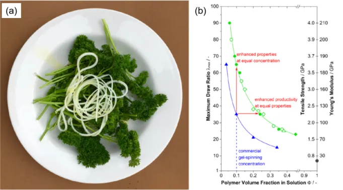 Figure 3.  (a) Strands of gel filaments consisting of 20% v/v UHMWPE crystallized from olive  oil,  nicknamed  UHMWPE  &#34;Al  Dente”;  the  filaments  were  produced  by  10  min  mixing 