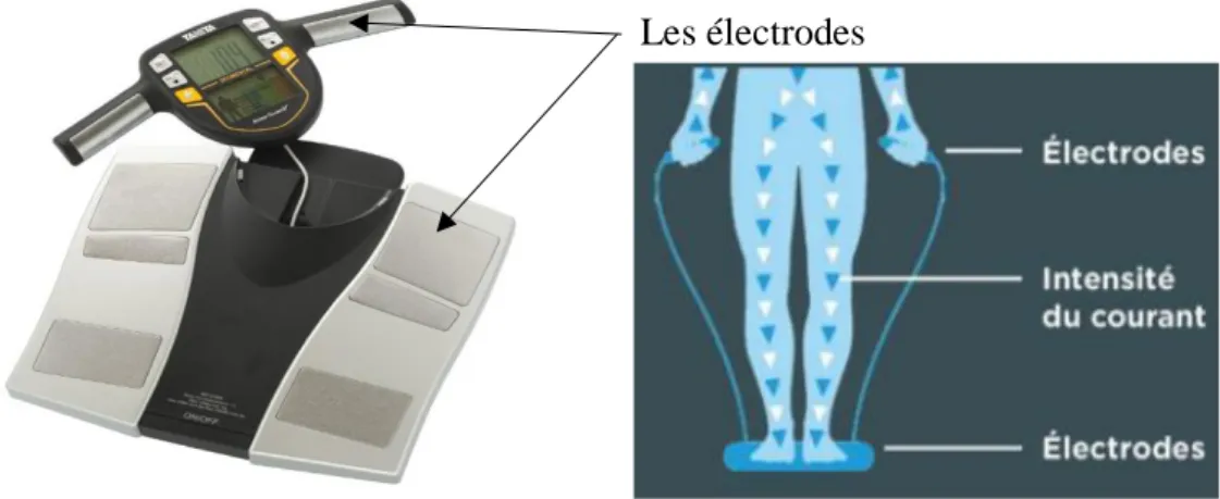 Figure I. 7: balance d’impédancemétrie pour la mesure de la composition corporelle [18] 