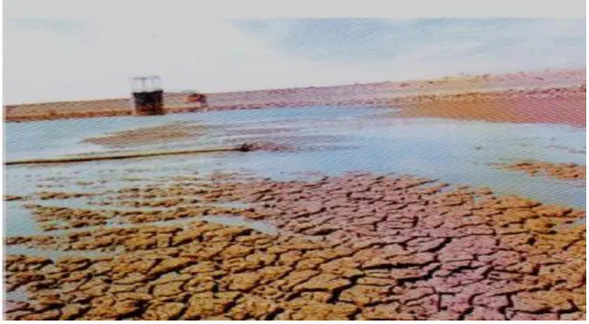 Figure I.2:Envasement du barrage de BAKHADDA TIARET (2008). 
