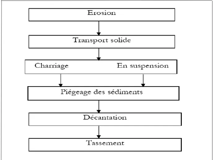 Figure II.2 : Organigramme du processus d‟envasement d‟une retenue. 