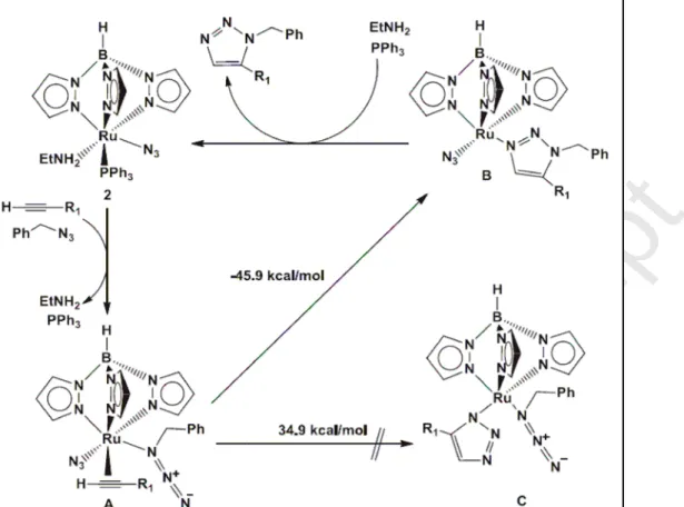 Fig. 10 Proposed mechanism of the RuAAC catalysis by ruthenium azido complexes. 