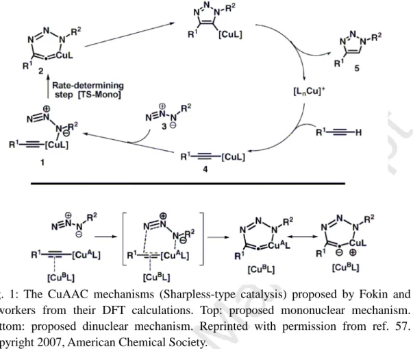 Fig.  1:  The  CuAAC  mechanisms  (Sharpless-type  catalysis)  proposed  by  Fokin  and  coworkers  from  their  DFT  calculations