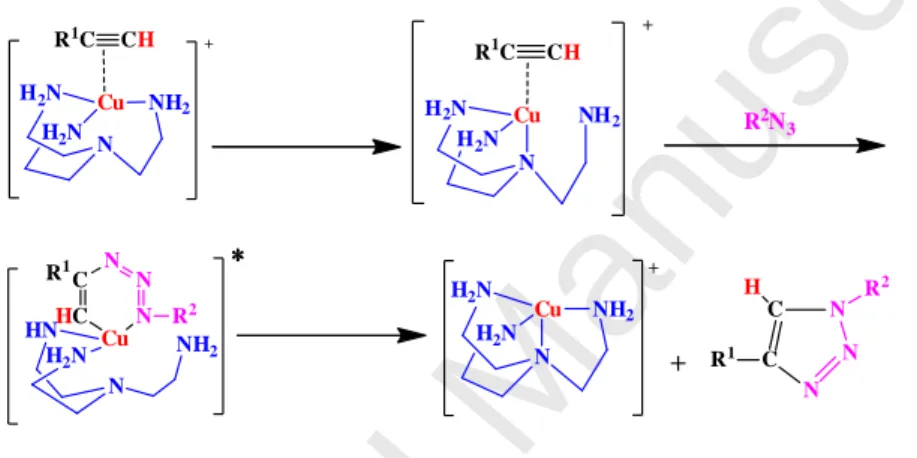 Fig. 3. Computed intermediates and transition state involved in the mechanism of  Cu(I)(tren)-catalyzed CuAAC reactions