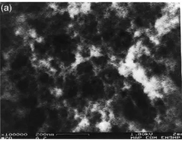 Figure  2-3:  High  resolution  scanning  electron  microscopy  of  silica  aerogels  (Rigacci  et  al.,  1998)