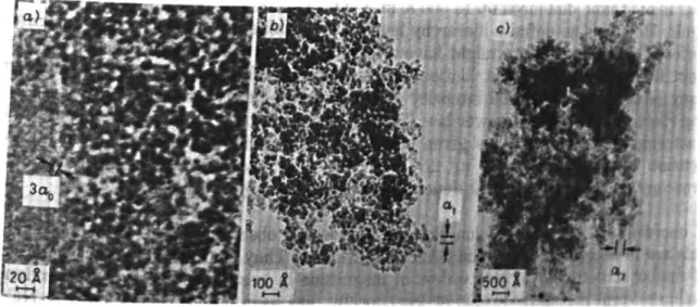Figure  2-13:  Different  levels  of organization  in  acid-catalysed  aerogels,  from  (Bourret,  1988)