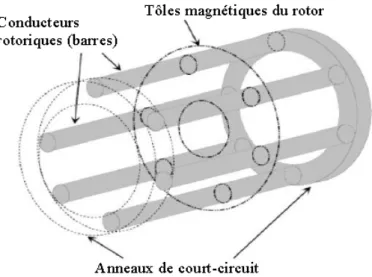 Figure 1.3.Vue schématique en perspective du rotor à cage d’écureuil  [6]. 