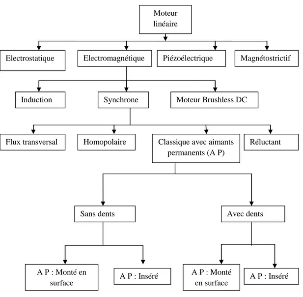 Figure I.3. Classification des moteurs linéaires Moteur 