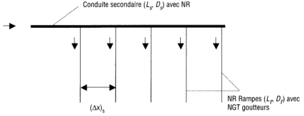 Figure 2 Schéma du réseau de micro-irrigation, cas 1. 