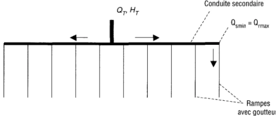 Figure 8 Réseau de micro-irrigation de structure en double peigne, cas 3. 