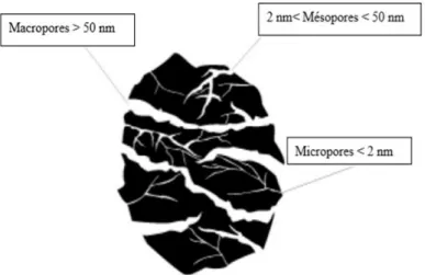 Figure I-3 : Représentation de la structure poreuse du charbon actif [42]. 