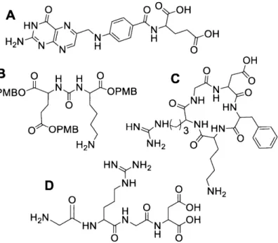 Figure  8.  Targeting  ligands  for PEG  conjugation. A.