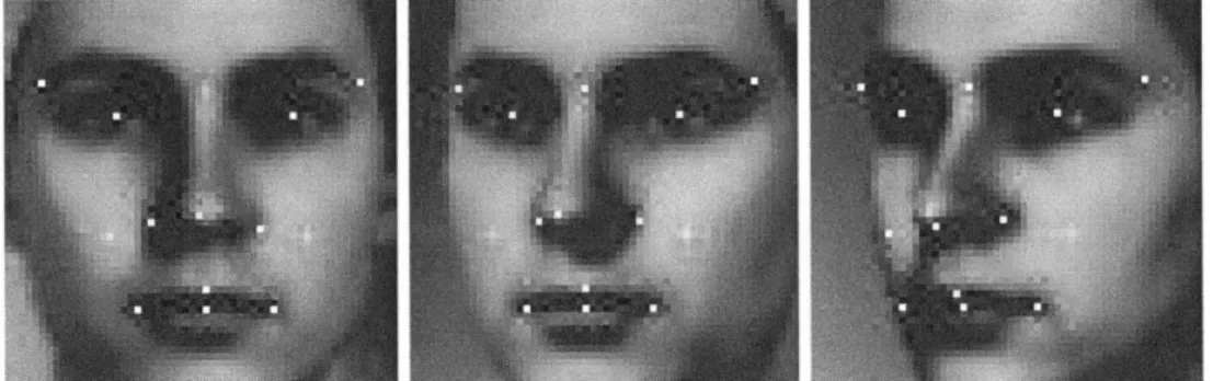 Figure  3-9:  The  58  x  58  region  around  the  face  in  three  training  images,  with  the  14 utilized  sentinel  points  highlighted.
