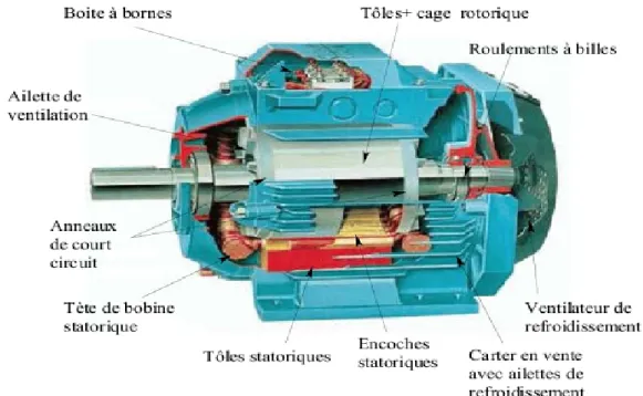 Fig. I.1 Constitution physique du moteur asynchrone 