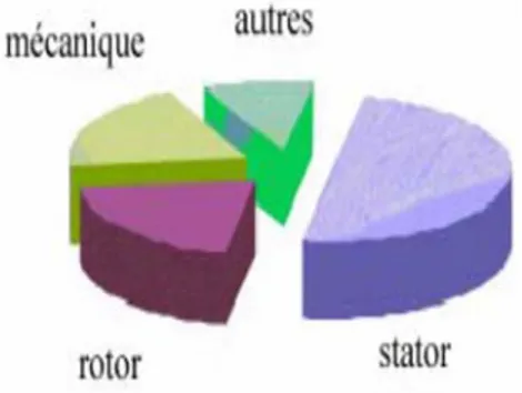 Fig. I.8 Répartition des défauts pour une machine de moyenne puissance 