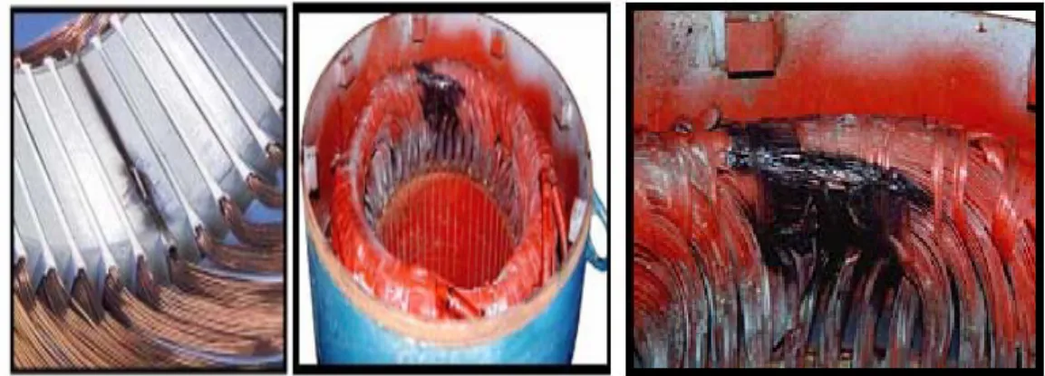 Fig. I.12- Exemple de dégâts provoqués par les défauts de court-circuit statoriques 