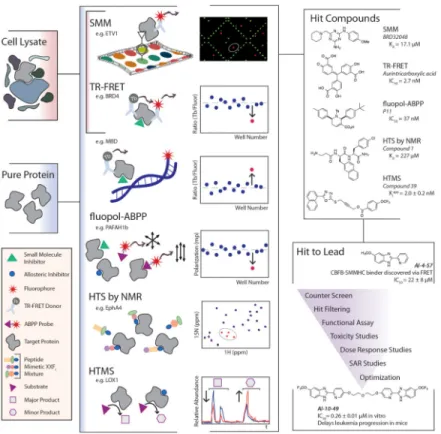 Figure 1. Chemical Probe Discovery via High-Throughput Biochemical and Biophysical Assays The primary assays for this approach typically require pure protein, but some have been  recently modified to accommodate cell lysates to detect small molecules that 